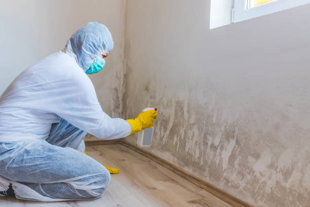 Licensed Bathroom Mold Removal service in Rebuck, PA - WQB Mold Removal