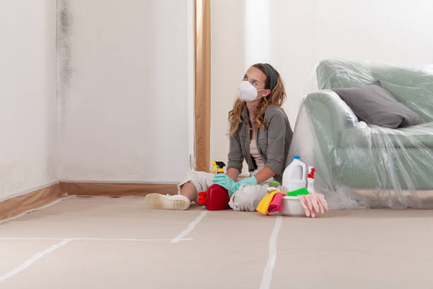 Reliable Bathroom Mold Removal contractor in Rebuck, PA by WQB Mold Removal